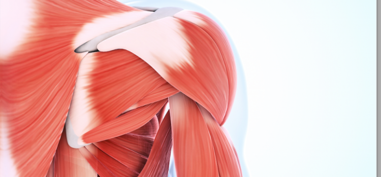 What is Fascia?