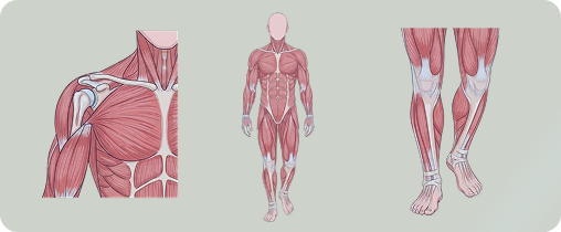 movement Pattern